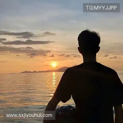 曹泽莎